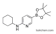 Molecular Structure of 1073354-34-3 (6-(Cyclohexylamino)pyridine-3-boronic acid pinacol ester)